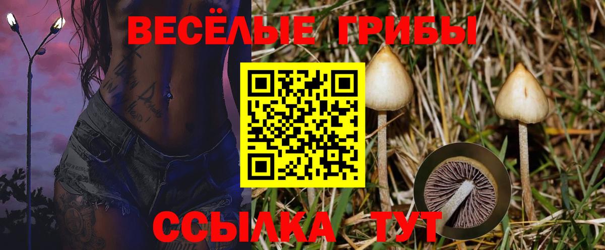 Псилоцибиновые грибы MAGIC MUSHROOMS  закладка  Ханты-Мансийск  Вход с VPN  Галлюциногенные грибы мицелий 